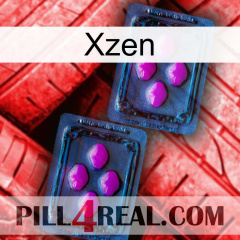 Xzen 03